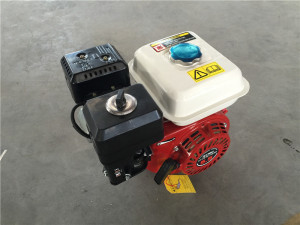 Gasoline Engine Fsh160