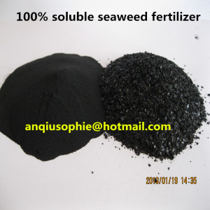 Factory Seaweed Extract Fertilizer